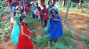 44552-പച്ചക്കറി വിളവെടുപ്പ് .jpg