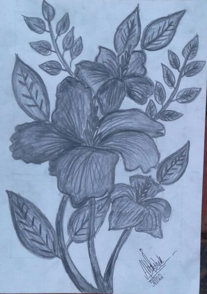 പ്രമാണം:Abhishek k anoop.jpeg