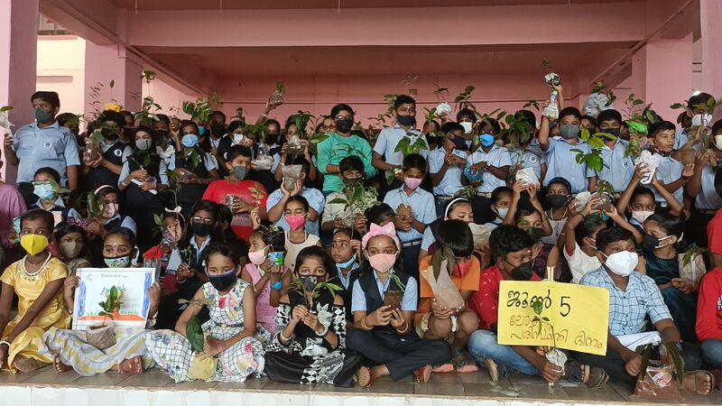 പ്രമാണം:Green day.jpg