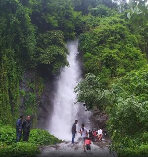 Karkkund water fall.jpg