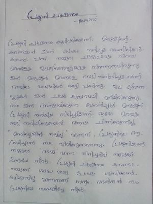 The two friends.jpeg