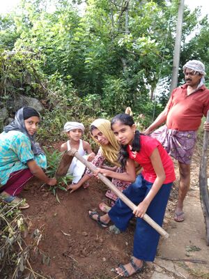 15051 paristitii.jpg