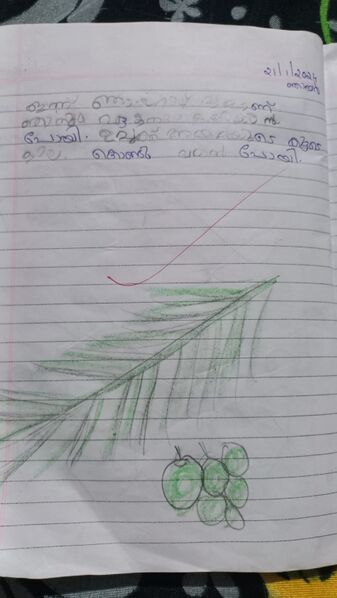 പ്രമാണം:19660-MLP-KUNJ-AARUSH AK.jpeg