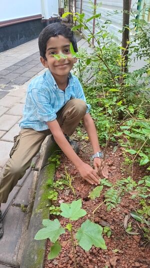 19801-environmental day-image1.jpg