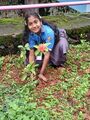 22:17, 17 ജൂൺ 2026-ലെ പതിപ്പിന്റെ ലഘുചിത്രം