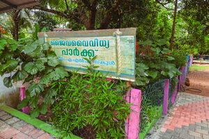 20529 HITECH PARK.jpg