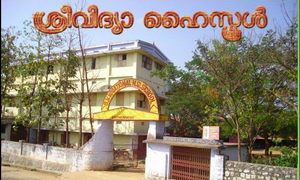 21047 SVVHSS eruthenpathy.png