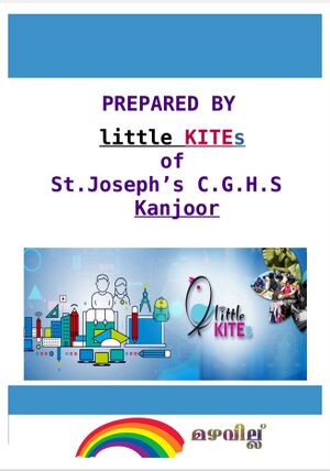 25045 LITTLE KITES.jpeg