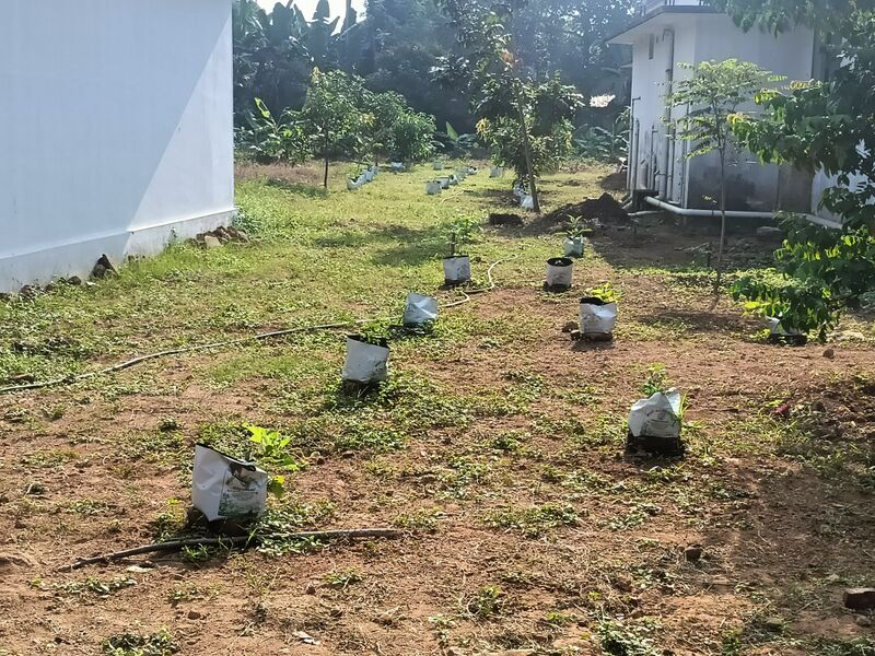 പ്രമാണം:25258 garden.jpg