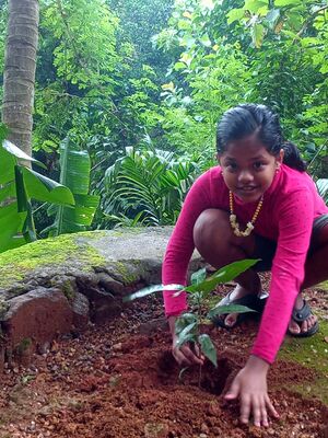 29312 environmentclub11.jpeg