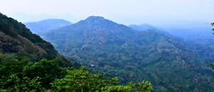 29312 karimkunnam19.png