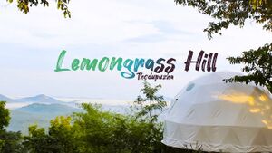 29312 karimkunnam5.jpg