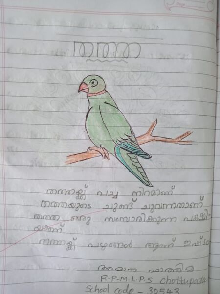 പ്രമാണം:30543-IDK-KUNJ-AMANA FATHIMA.jpeg