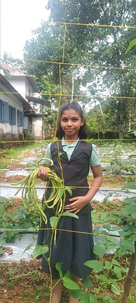 പ്രമാണം:31262-farming.jpg
