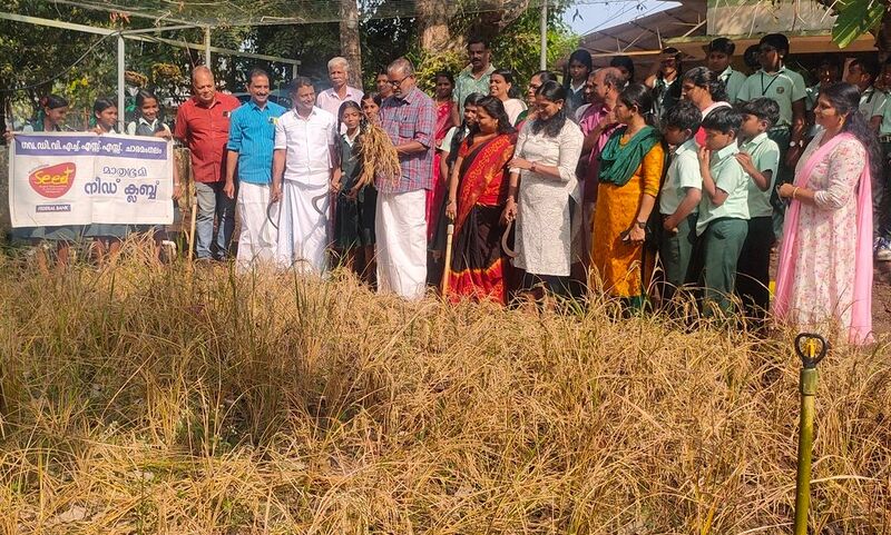 പ്രമാണം:34013seed krishi25c.jpg