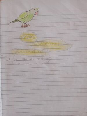 34304-ALP-KUNJ-DEVASREE A.jpeg