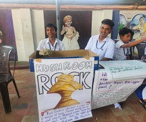 35052 ssfair 242511.jpg