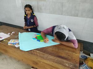 42085 mathsfair 7.jpg