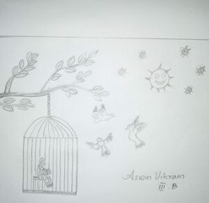 42440-Aswin Vikram 3B.jpg