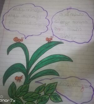 44071-TVM-KUNJ-Adwaith A P.jpg