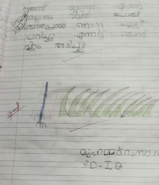 പ്രമാണം:44213muhammed remsan.jpg