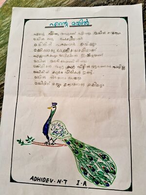 48134-MLP-KUNJ-ADIDEV NT.jpg