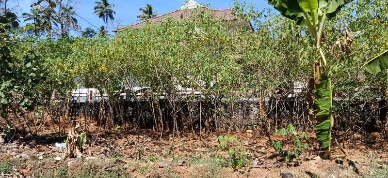 പ്രമാണം:IMG-20220129-WA0028.jpg