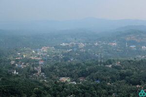 Sky view of nedumangad town.jpg