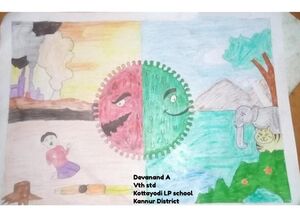 14638 CORONAPICTURE.jpg