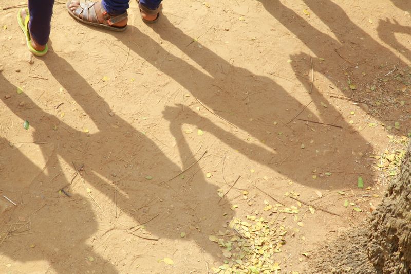 പ്രമാണം:20170127105010 IMG 7250.JPG