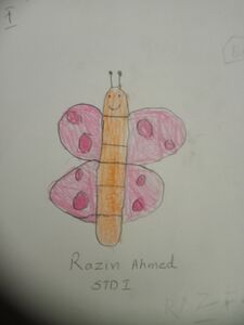 RAZIN