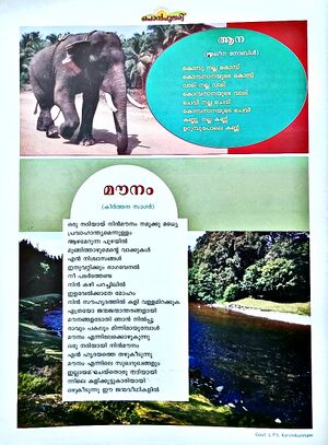 29312 newspaper17.jpg