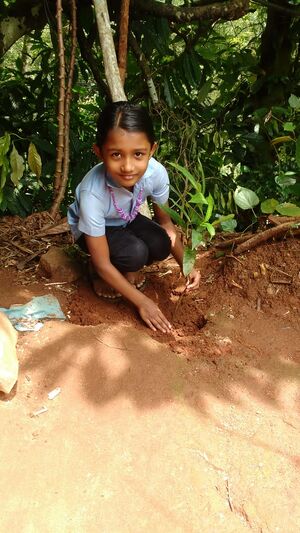 29411 EnvironmentDay18.jpeg