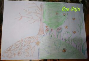 32005-Eva Saju1 II C.jpg