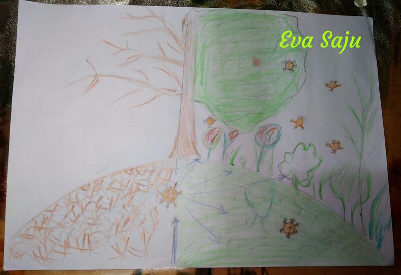 പ്രമാണം:32005-Eva Saju1 II C.jpg