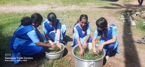 34024 guiding help.jpg