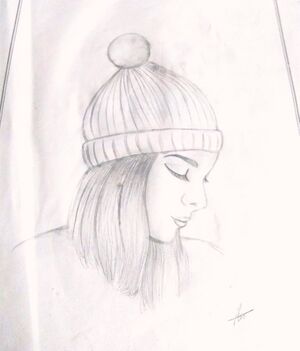 44050 22 12 i43.jpeg