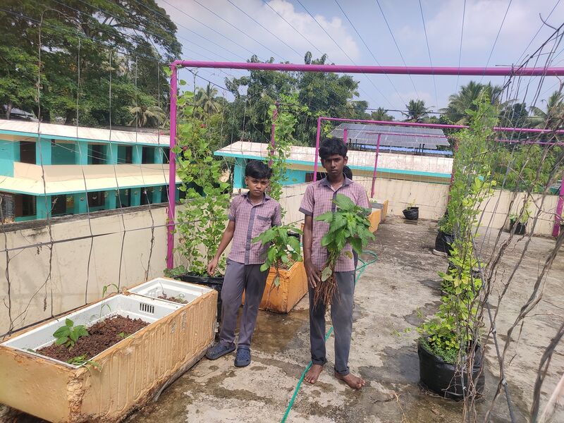 പ്രമാണം:44050 24 2 7 19.jpg