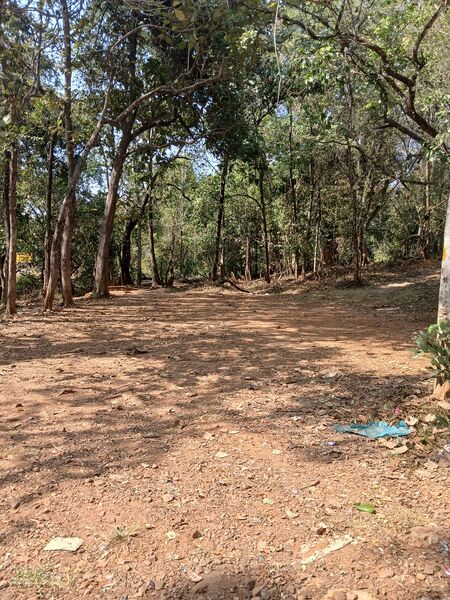 പ്രമാണം:48050 greenery.jpg