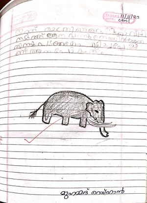 48411-MLP-KUNJ-MUHAMMED RAIHAN.jpg