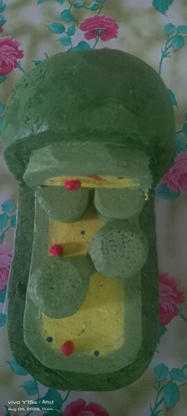 പ്രമാണം:CHLOROPLAST MODEL 1.jpg