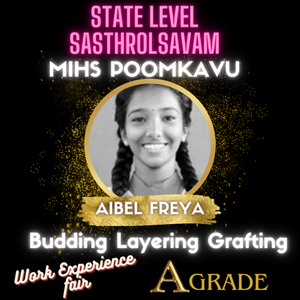 പ്രമാണം:Statefair 35052 23 4.png