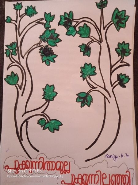 പ്രമാണം:Talent 6.jpg