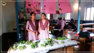 11051 SCHOOLLEVELSHASTRAMELA20168.jpg