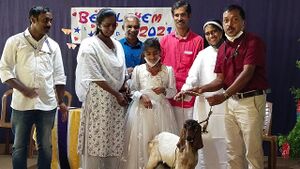 15367 nallapadam goat-1.jpg