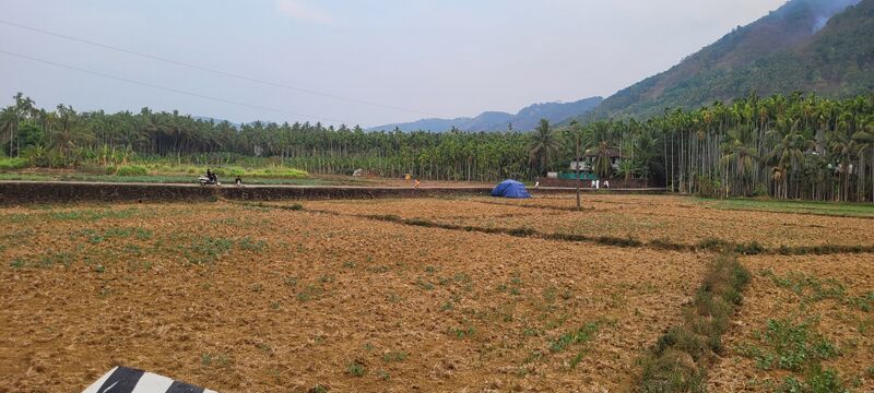 പ്രമാണം:18332 entegramam field view.jpg
