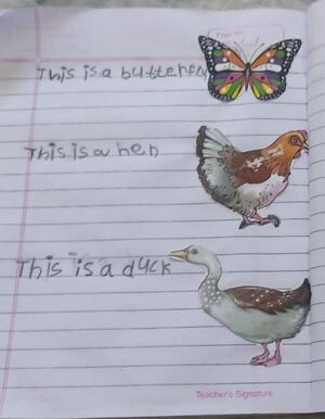 19808-MLP-KUNJ-FATHIMA RAFA.jpeg