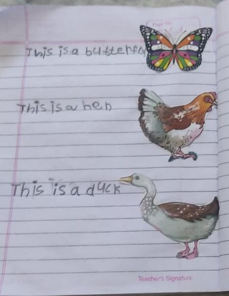 പ്രമാണം:19808-MLP-KUNJ-FATHIMA RAFA.jpeg