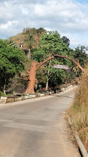 20261 entegramam.jpg