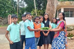 31262-valavoor- harvesting1.jpg